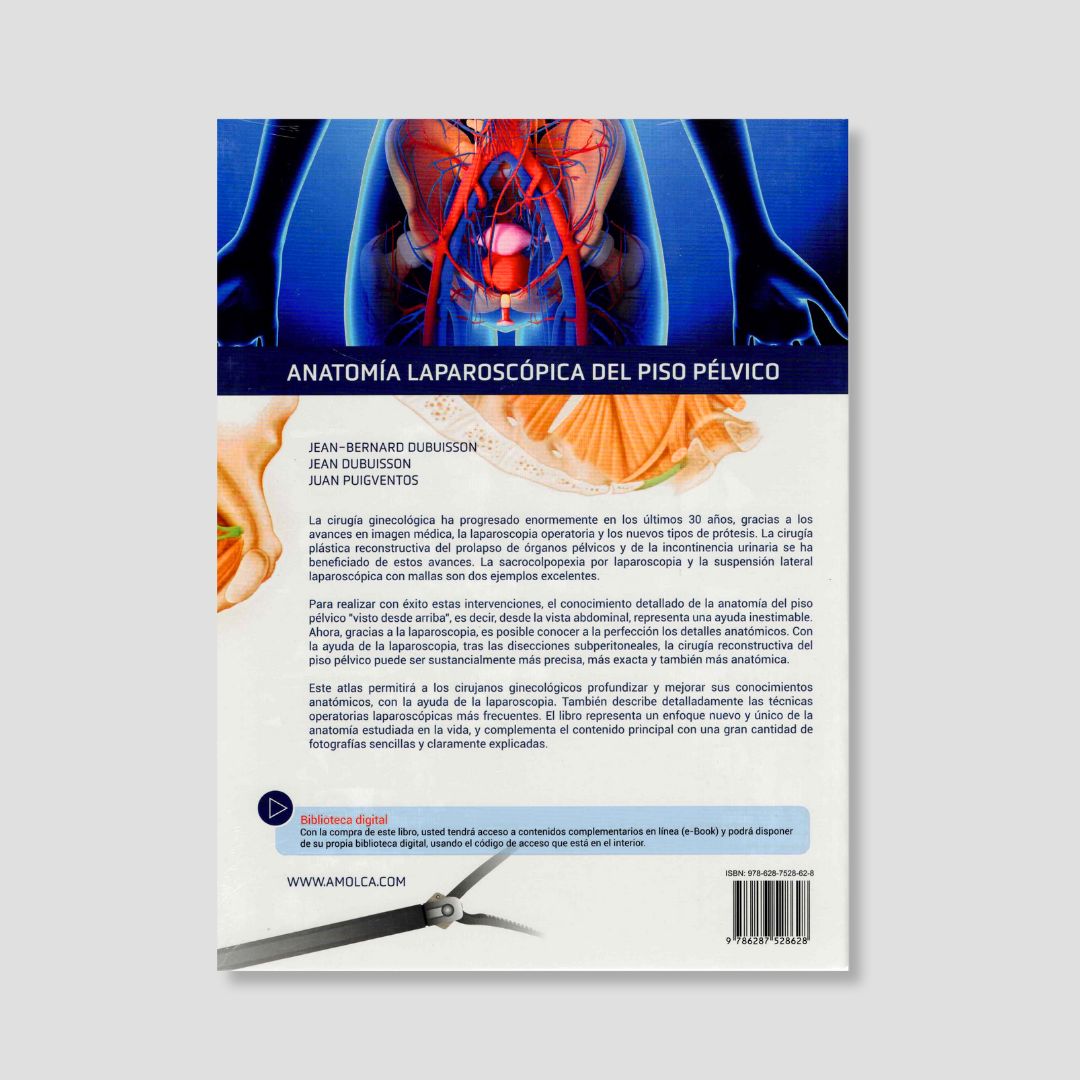 Anatomía laparoscópica del piso pélvico - Image 2